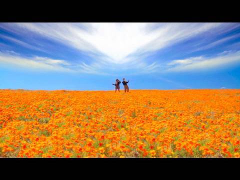 Quadron: "Slippin" (dir. Walter Robot)