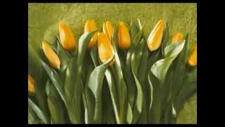 Espíritos Errantes  - Livro dos Espíritos