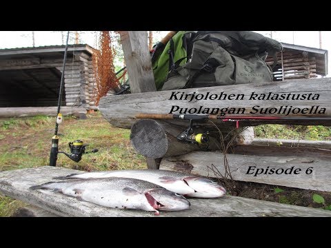 Kirjolohen kalastusta Puolangan Suolijoella | Erämaiden Kulkijat