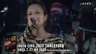 lecca / lecca Live 2013 ZOOLANDER