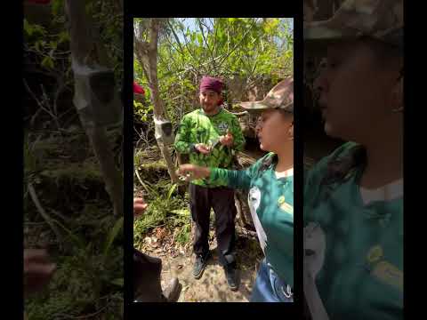 Alboreando Sueños en el Municipio de Paicol - Huila 🫀🍃