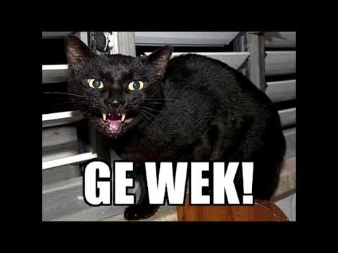 Funpaku - Lockdaun 3 (Beta Test Cut (RfK Mitschnitt))