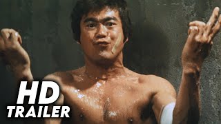 The Streetfighter's Last Revenge (1974) Original Trailer [FHD]