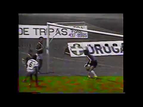 Ferroviaria 0x4 Palmeiras - Campeonato Paulista 1989
