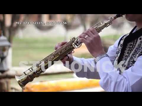 Nelu Paucean Beau la birt cu prietenii