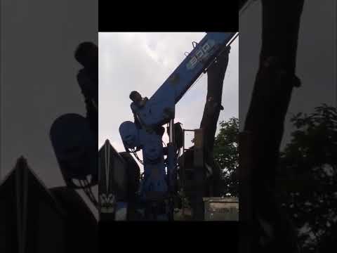 Video tổng hợp 1
