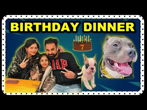 Satinder's Birthday Dinner | Family and Funny Dog Videos | Harpreet SDC