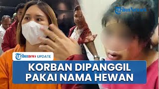 Sosok Majikan di Batam yang Jadi Tersangka Penganiayaan ART hingga Luka Serius dan Alami Trauma