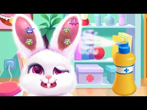 Fun Cute Animal Pet Hospital Care Furry Pet Hospital Let's Take Care Of The Animals