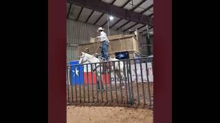 Horse sale XIT Western Productions.