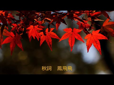 秋詞 ~  鳳飛飛 Feng Fei Fei