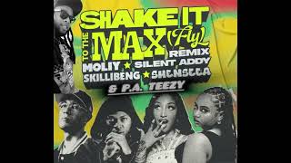 Download lagu SHAKE IT TO THE MAX P.A. TEEZY REMIX mp3
