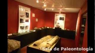 preview picture of video 'Museo de Historia Natural de Puchuncaví (2)'