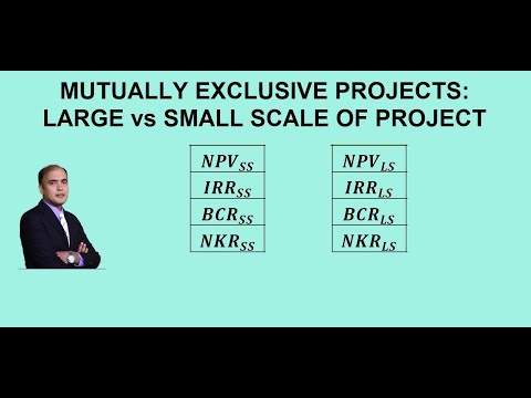 Mutually Exclusive Project/Alternatives: Large vs Small Scale