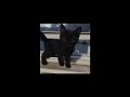 Junkie Sped Up