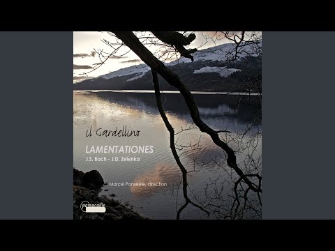 Cantata BWV 46 "Schauet doch und sehet, ob irgendein Schmerz sei" Johann Sebastian Bach: 1....