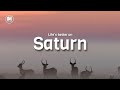 SZA - Saturn (lyrics) life's better on Saturn 🪐
