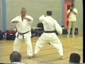 Bunkai Heian Oyo Bunkai