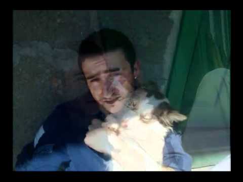 Замислете се върху тази песен ! Mir40  - Птица без криле 2011