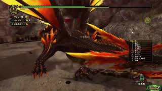 【MHF】古龍をぶっ倒しに行く#3最強のハンターへの道