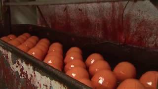 The Food Factor: Edam Cheese