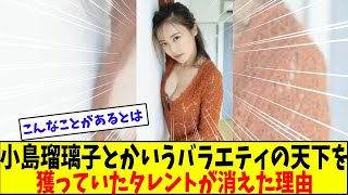 小島瑠璃子とかいう一時期バラエティの天下を獲っていたタレントが消えた理由【美女に関する全ての反応集】