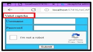 How to add CAPTCHA in website | Learn with Developer