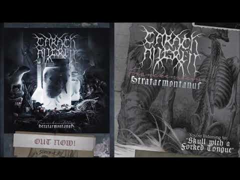Video thumbnail for Skull with a Forked Tongue