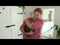 Poes Hillie na bijna drie jaar herenigd met gezin