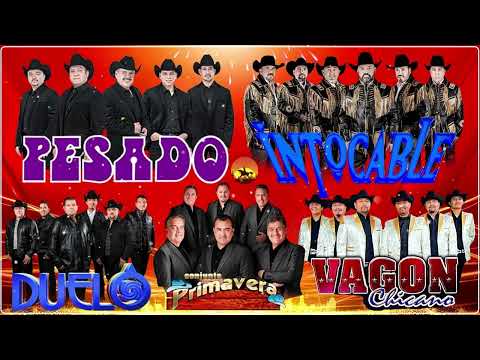 Mix Pesado, Intocable, Palomo, Duelo, Vagón Chicano - Puros Corridos Pesados pa pistear
