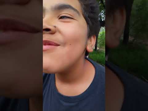 Alimentando caballos en Catamarca (Tinogasta)🐎🥬