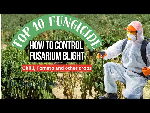 Effective Synthetic Fungicides list  for Managing Fusarium Blight wilt in Chili, tomato and other