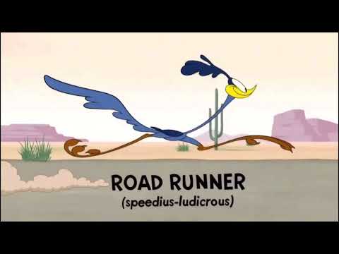 Wile E Coyote And Road Runner In "Multiply And Conquer"