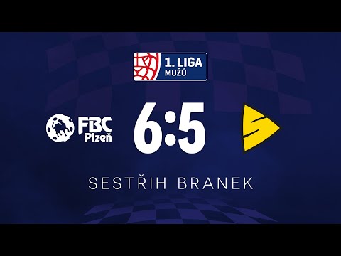 SESTŘIH | 19. kolo FBC Plzeň - Fatpipe Start 98 6:5
