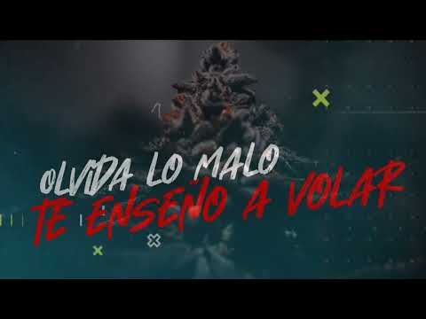 No Es Casualidad - Sikeh Ft Frecuencia Callejera (KillerSide) (Grenas) (FLow De Cali) Video Lirik