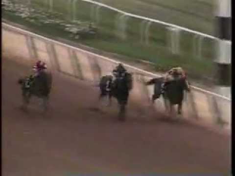 Coastal - 1979 Belmont Stakes