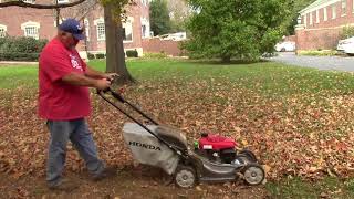 Mulching Tree Leaves for a Better Lawn