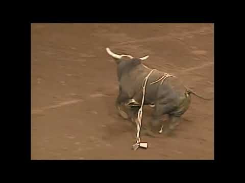 Jason Bennett vs Undertaker - 00 PBR Guthrie (88 pts)