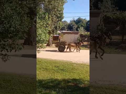 Villa de Soto, provincia de Córdoba, Argentina.#villadesoto