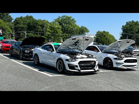 10 Speed Mustang GT VS Manual GT (APOLLO DIG RACING!!)