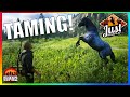 CRAZY HORSE WRANGLING Red Dead Redemption 2 Roleplay JustRP RedM