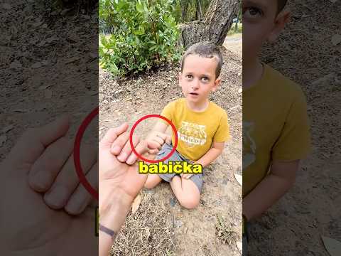 Babička ho naučila důležitou životní lekci  🥹❤️