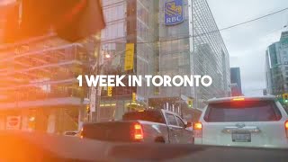 FIRST WEEK IN TORONTO | IEC Visa