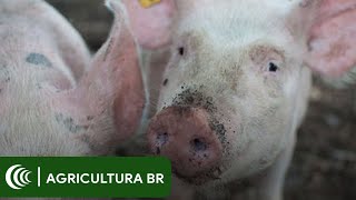 Miniatura do vídeo