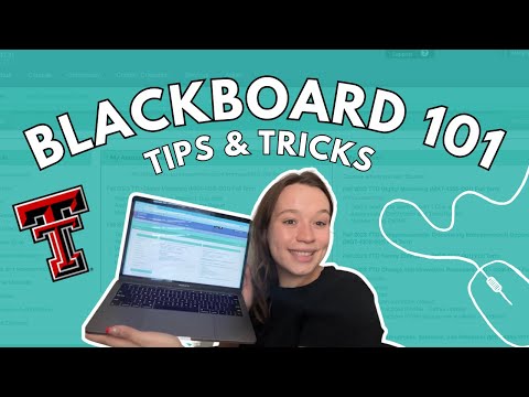 Blackboard 101 Texas Tech Vlog Squad