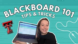 Blackboard 101 | Texas Tech Vlog Squad