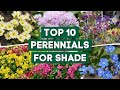 10 Beautiful Perennial Flowers for Shady Gardens! 👌🌿💚 // PlantDo Home & Garden