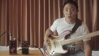 Video thumbnail for Sound Comparison : Aguilar Octamizer vs Boss OC-2 by ครูหลุยส์ สอน Walking Bass