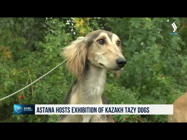 Астанада «Қозоқ тозиси» экспозицияси намойиш этилди