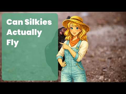 Get Ready For Chantilly Chicks Picks Fun